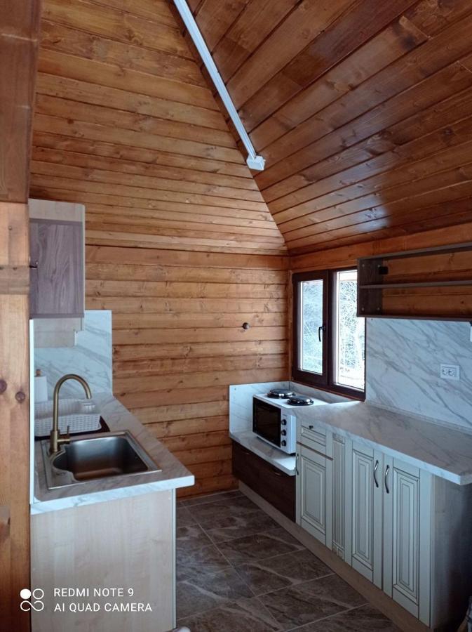 Вила Хоризонт Tsigov Chark Extérieur photo